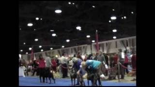 Eukanuba 2009 Beauceron Part II.m2ts