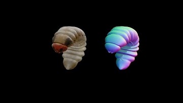 3D worm modeled. textured and animated on Blender