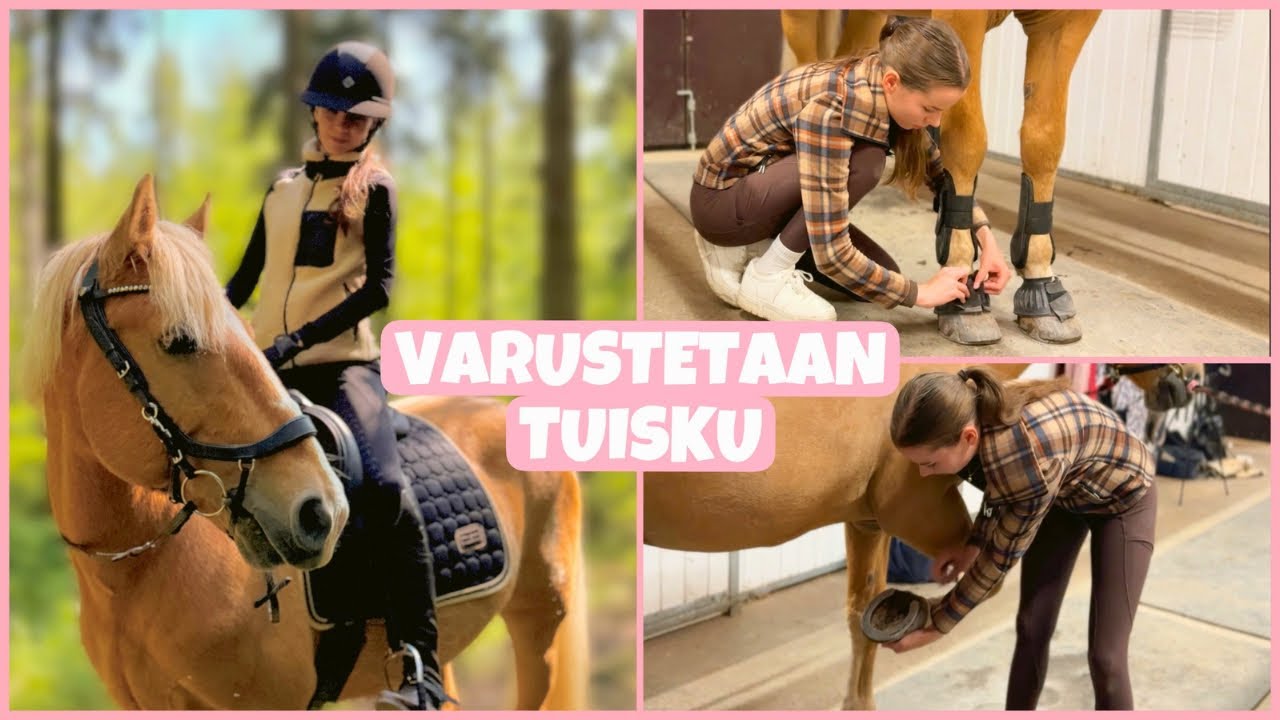 Kuinka varustaa hevonen?