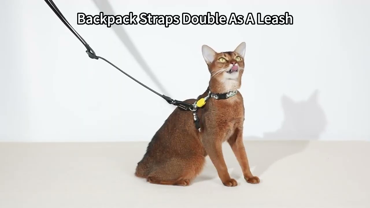 Hidream | Pet Travel Carrier/Bag | Comfortable, Airline Carry-On