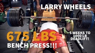 675LBS/307KG BENCH PRESS PR - YouTube