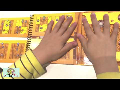 Brain Cheeser Oyuncak İncelemelesi  🐭 🐭 🐭