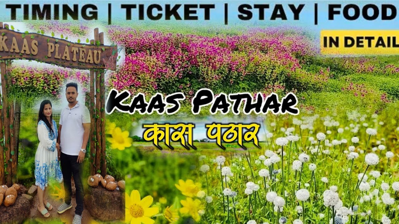 Kaas Plateau: The Valley Of Flowers In Maharashtra | World Heritage Site | Fort Lover