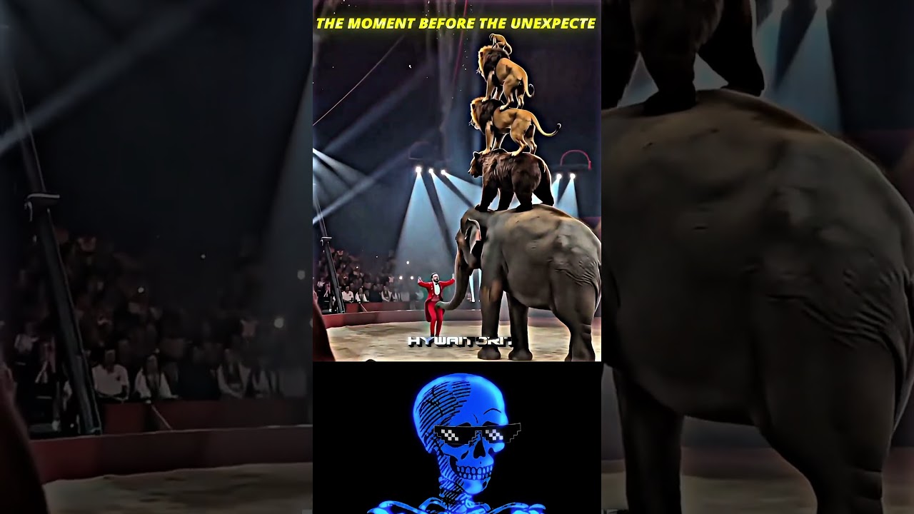 #edit