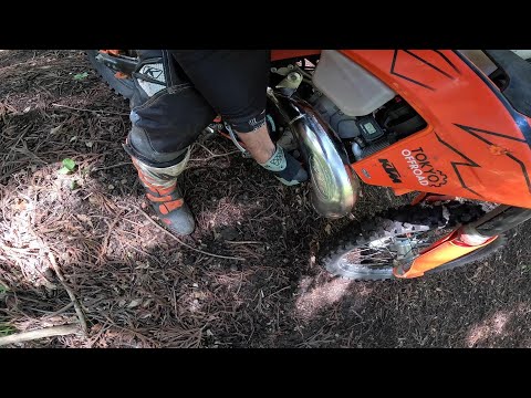 2024 KTM 300