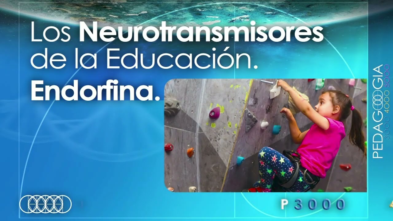 7. ✨Los Neurotransmisores del Bienestar ¿Sabes para qué sirven?...✨