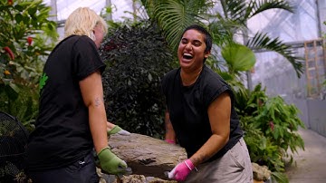 Groeiende gemeenschap in de Botanische Tuinen