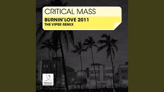 Burnin' Love 2011 (The Viper Remix)