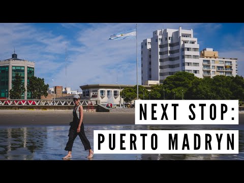 Mar del Plata to PUERTO MADRYN by Overnight Bus | Argentina Travel Vlog