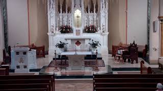 Wednesday Noon Mass