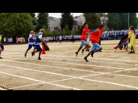 20220908多摩高体育祭 春夏秋冬対抗男女混合リレー(大トリ)