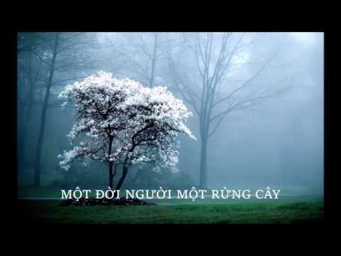 Video Một đời người một rừng cây - Quang Dũng - youtube
