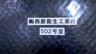 CIMG4851