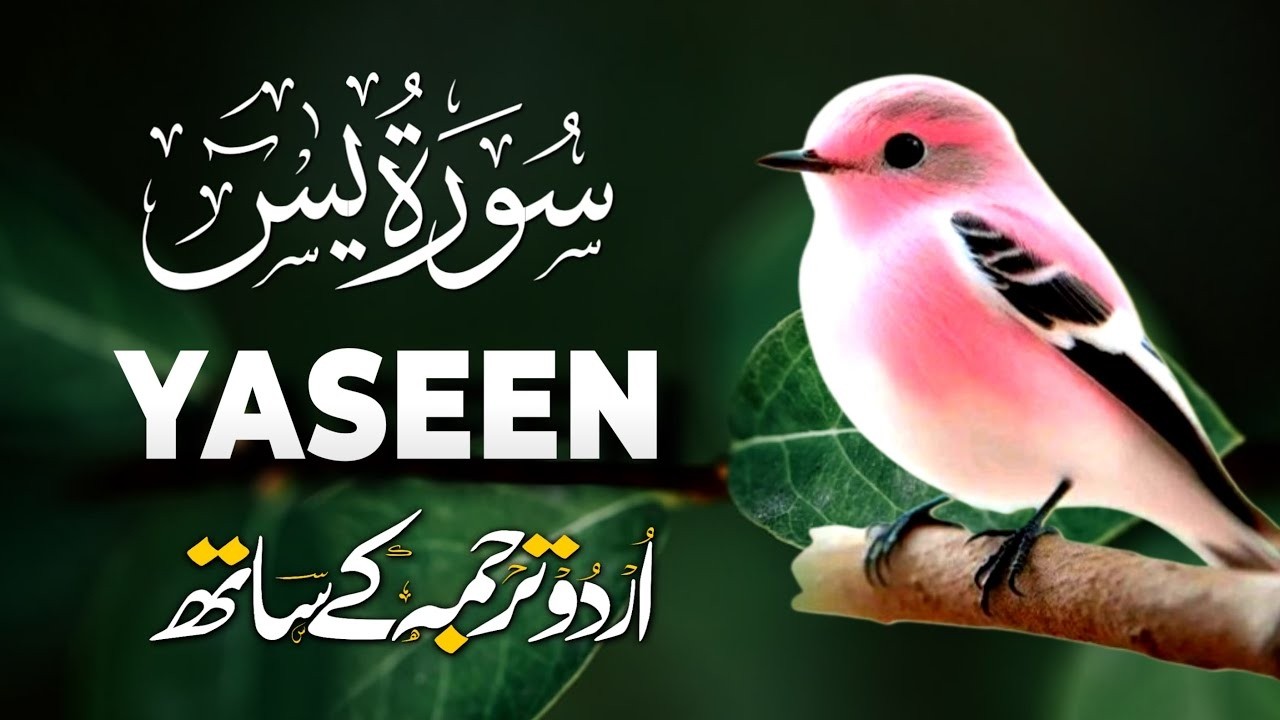 Surah Yaseen with Urdu Translation | Heart Touching Recitation by Qari Mansoor Ghaznavi | Ep048