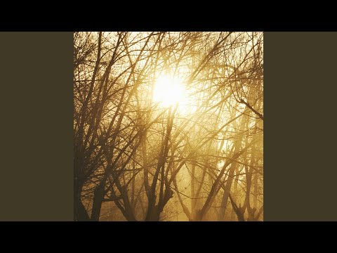 სპორტული დარბაზი