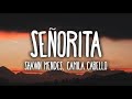 Shawn Mendes, Camila Cabello Señorita Clean - Lyrics 1 Hour