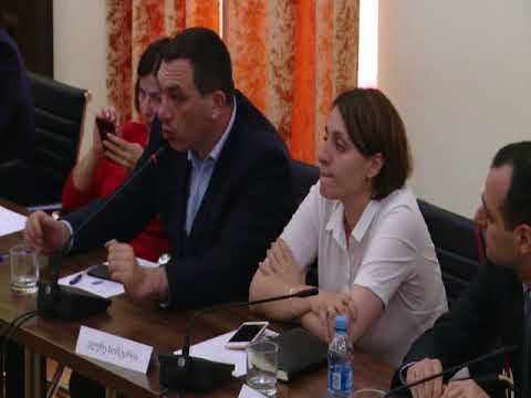 დროებითი საგამოძიებო კომისიის სხდომა N3 - III ნაწილი, 22.06.2018