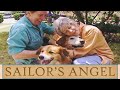 Sailor's Angel - It's a Miracle