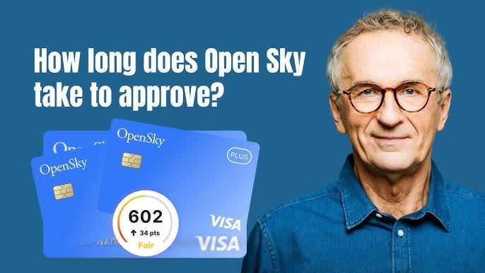 Open Sky の支払い処理にかかる時間:スピードインサイト