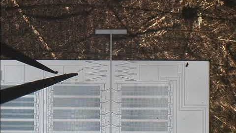 Electrostatic Inchworm Motor Displacing 2 millimeters+