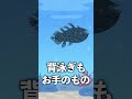 Q.シーラカンスはおいしいですか?