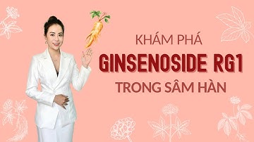 Khám phá công dụng của Ginsenoside Rg1 trong Nhân Sâm Hàn Quốc - Thi Đặng - ANaNa Nhân sâm Korea