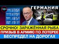 СРОЧНО! РЫБА ЗАРАЖЕНА. ПРЕДУПРЕЖДЕНИЕ разведки. В армию по ЛОТЕРЕЕ. ПРЫГНУЛ ИЗ ОКНА Новости Германии