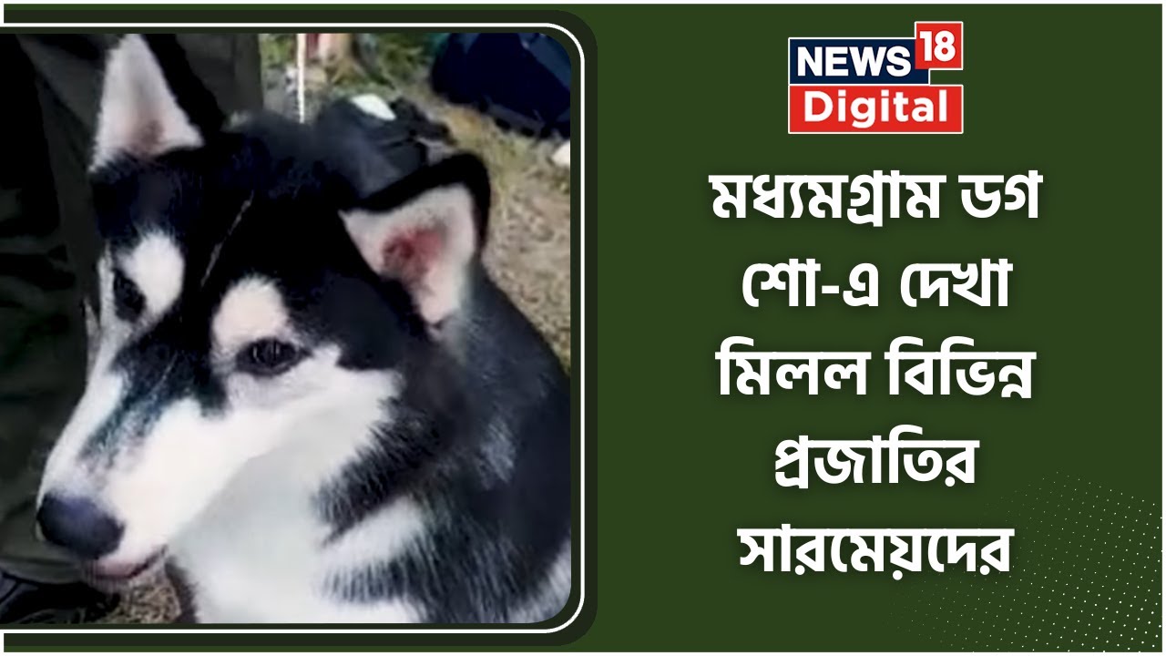 dog-show-madhyamgram