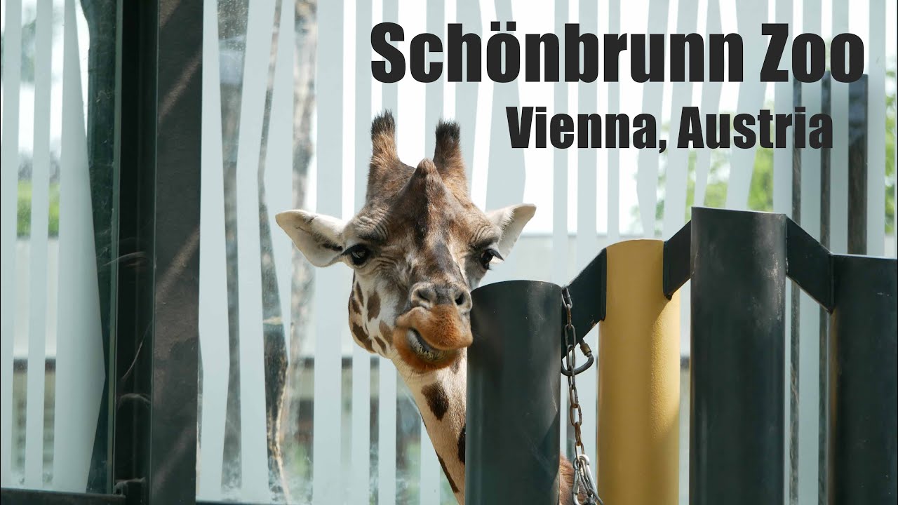 Schönbrunn Zoo, Vienna, Austria