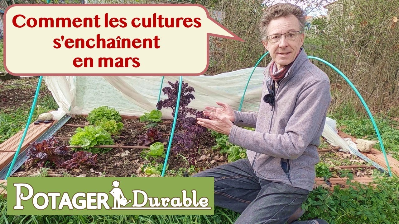 Comment les cultures s'enchaînent au mois de mars