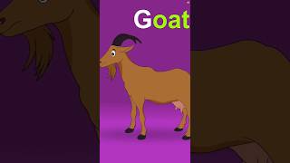 🔠 Alphabet Song | Phonics Song @ZingyKidz