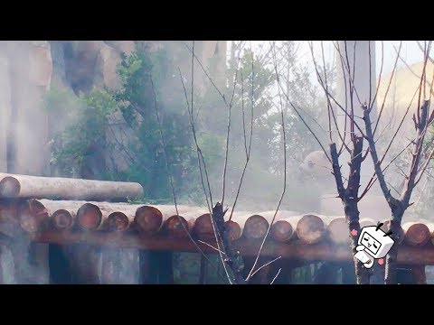 【大熊貓星輝星繁】終於見到史大輝繁妹妹啦～