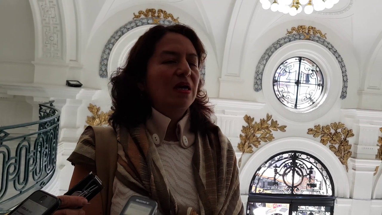 COMISIONADA MARÍA DEL CARMEN NAVA POLINA ACLARA ENFOQUE DEL PLAN DE ...