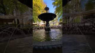 Життя повзе, мов змія в траві, доки ми водимо хоровод у фонтана ⛲️