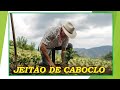 JEITÃO DE CABOCLO **** RONALDO VIOLA & PRAIANO-Comp-(Valdemar  Reis/Liu)