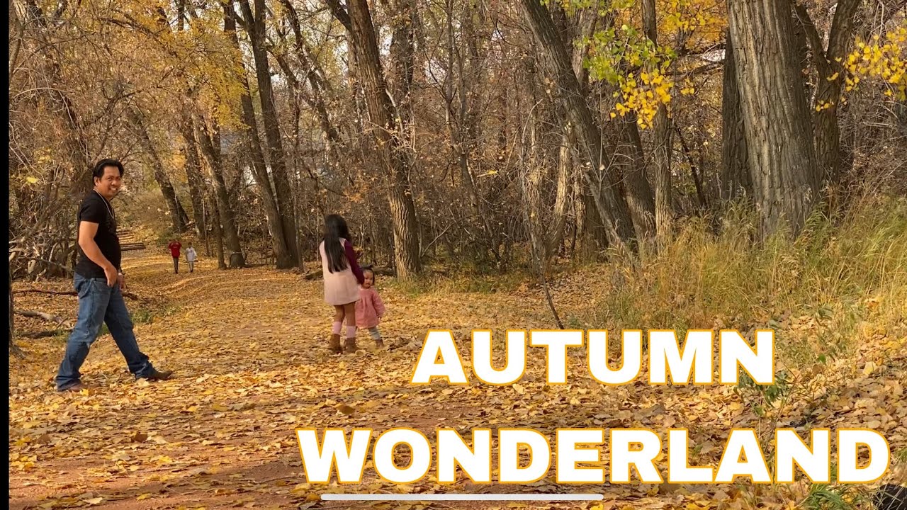 WHY AUTUMN/FALL IS MY FAVOURITE MONTH? Watch how the leaves gives color