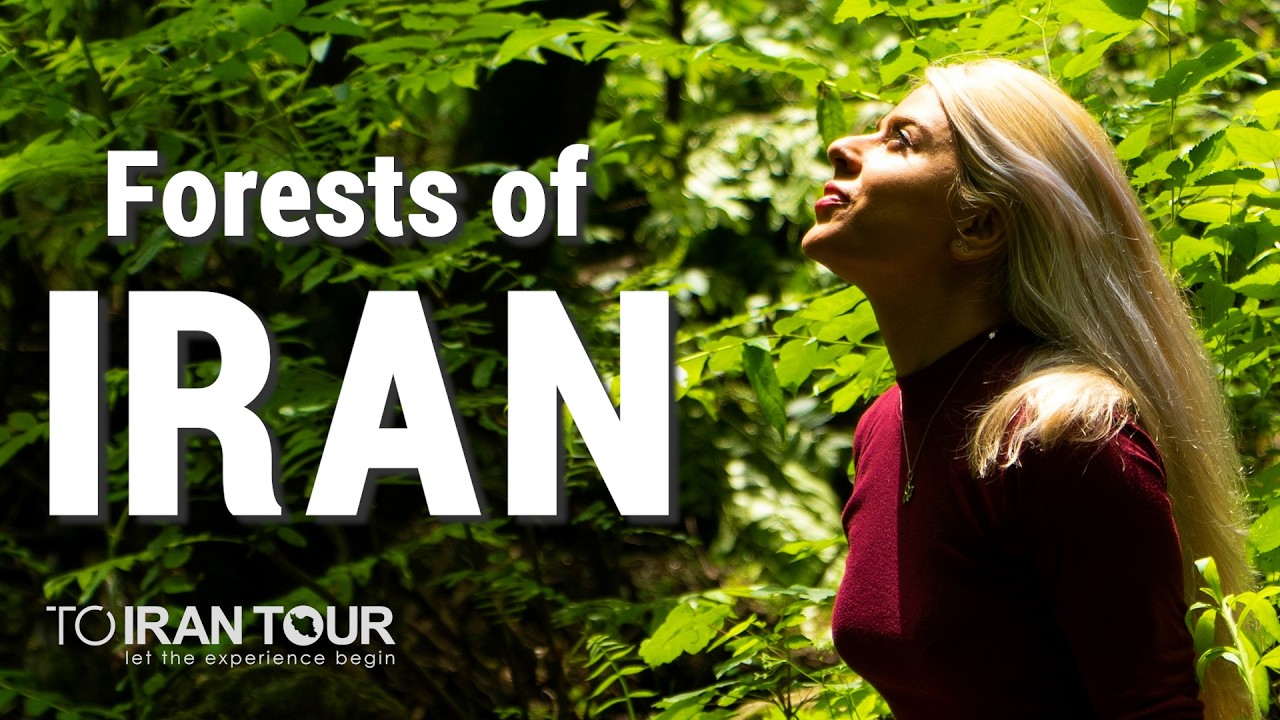 Exploring Iran's Stunning Forests Must Visit Natural Wonders