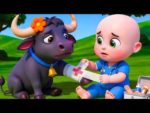 Baby Buffalo Get Boo Boo New Compilation | Old MacDonald | Baby Cartoon & Kids Songs Baby Bobo