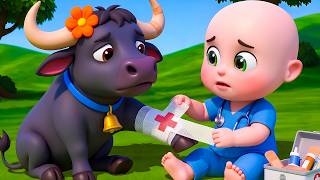 baby buffalo get boo boo new compilation old macdonald baby