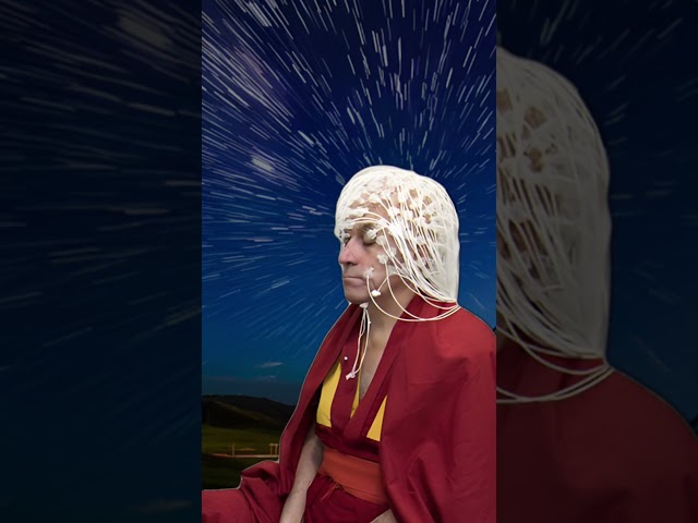 Four Principal Commitments of His Holiness the Dalai Lama: Why Compassion Wins?