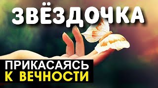 Звёздочка - Прикасаясь к вечности - Пётр Бальжик