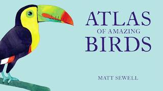 Matt Sewell illustrates a Northern Cardinal from 'Atlas of Amazing Birds'