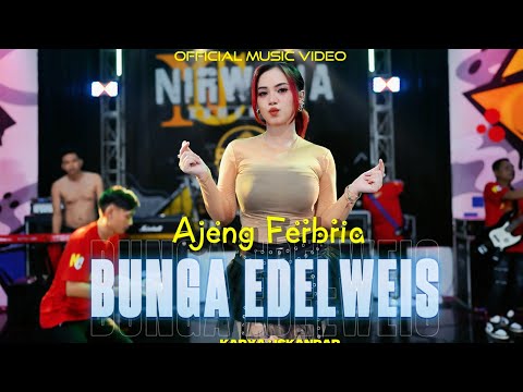 FUNKOT - BUNGA EDELWEIS [THOMAS ARYA] COVER BY ANDY AENCALZ OFFICIAL