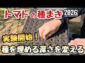 【トマト】種まき時の種を埋める深さの実験開始~サンマルツァーノ~