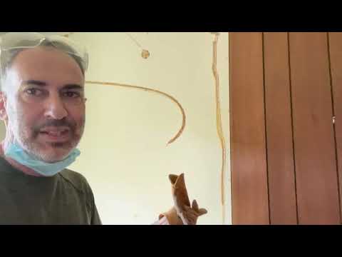 How To Remove Old Interior Panelling