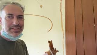 How to remove wall paneling .  In whole board sections