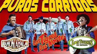 PUROS CORRIDOS - RAMON AYALA, Los Tigres Del Norte, Los Tucanes de Tijuana by Inmortales Gruperas Cumbias 430 views 3 months ago 1 hour, 26 minutes