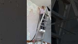 The Wallpaper Is Gone