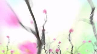 TOR -MAI-DAI-DUAN-DEAW-DIE...