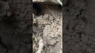 Define Kasası Bulma Anı! Treasure Hunt